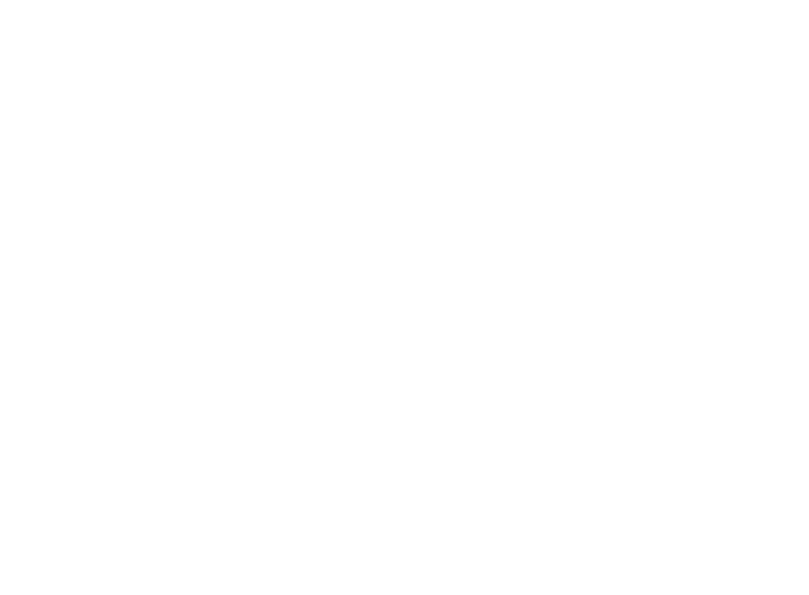 Lotus Watermark Graphics